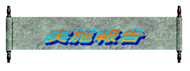 報告